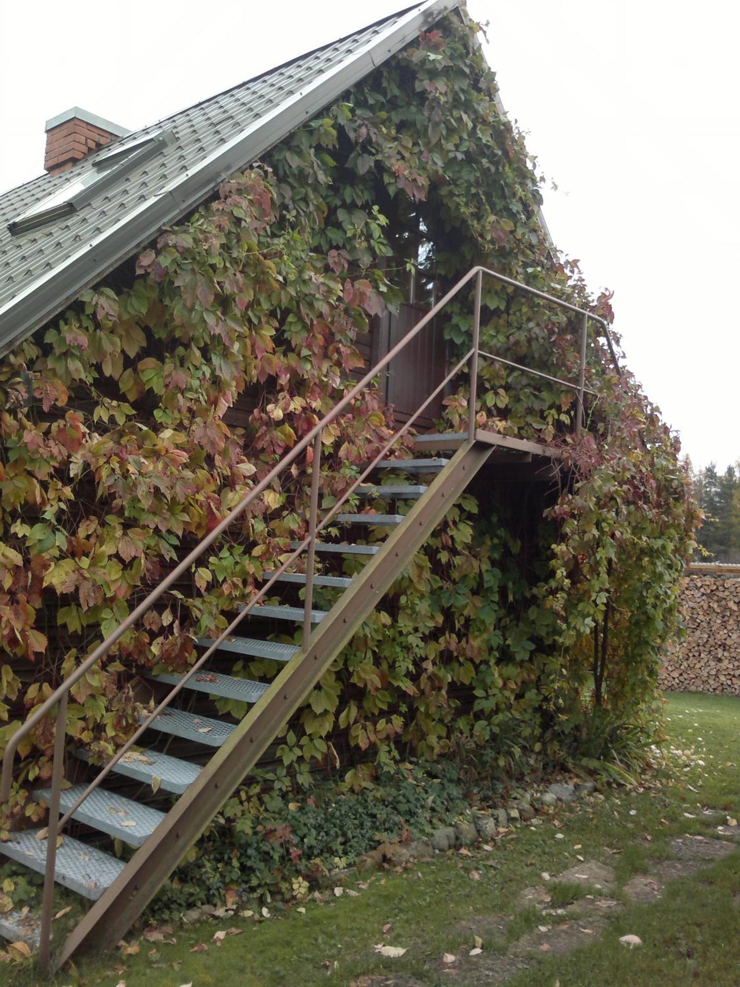 Laane Pansion Bed and Breakfast Käsmu Eksteriør billede